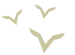 green birds