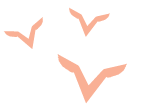 flying red birds